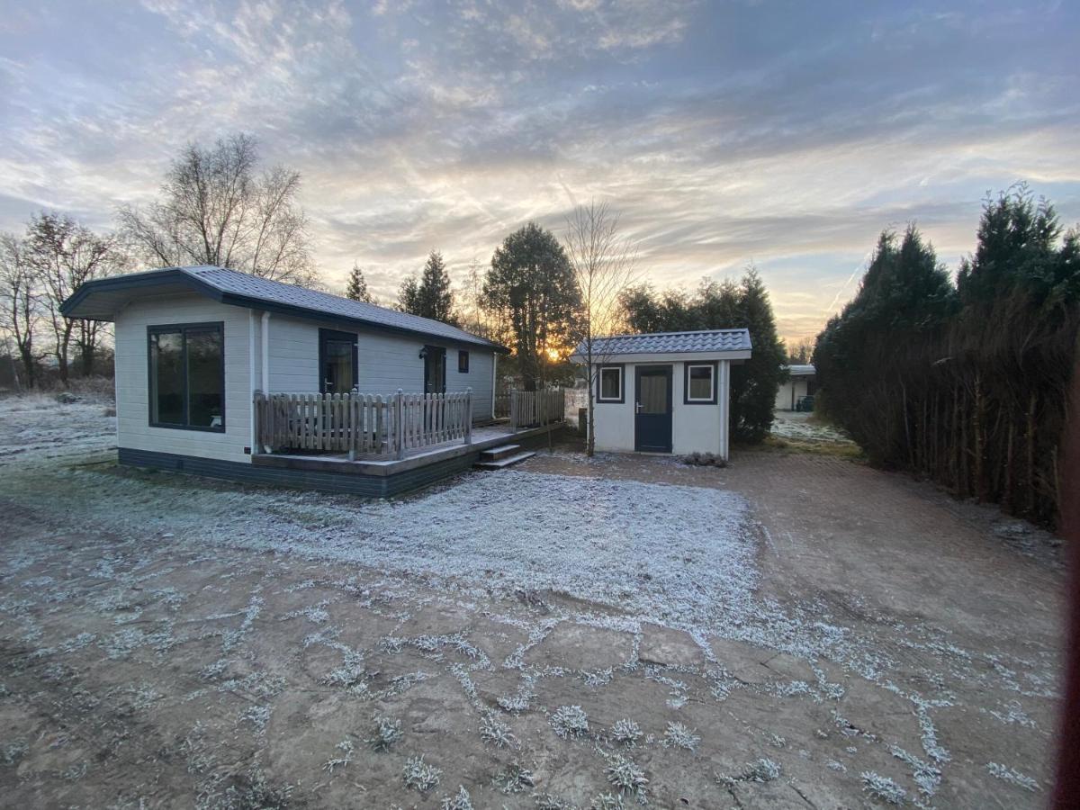 Villa Gezellige Chalet In Bosrijke Omgeving Anloo Exterior foto